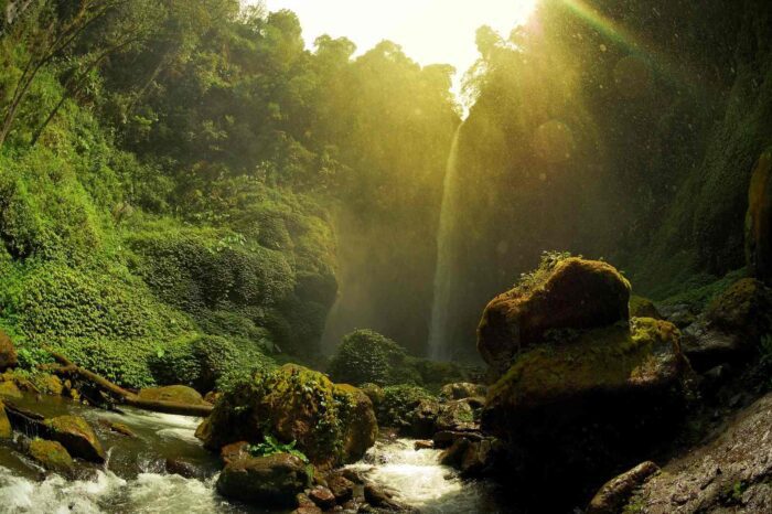 Coban waterfall near Malang