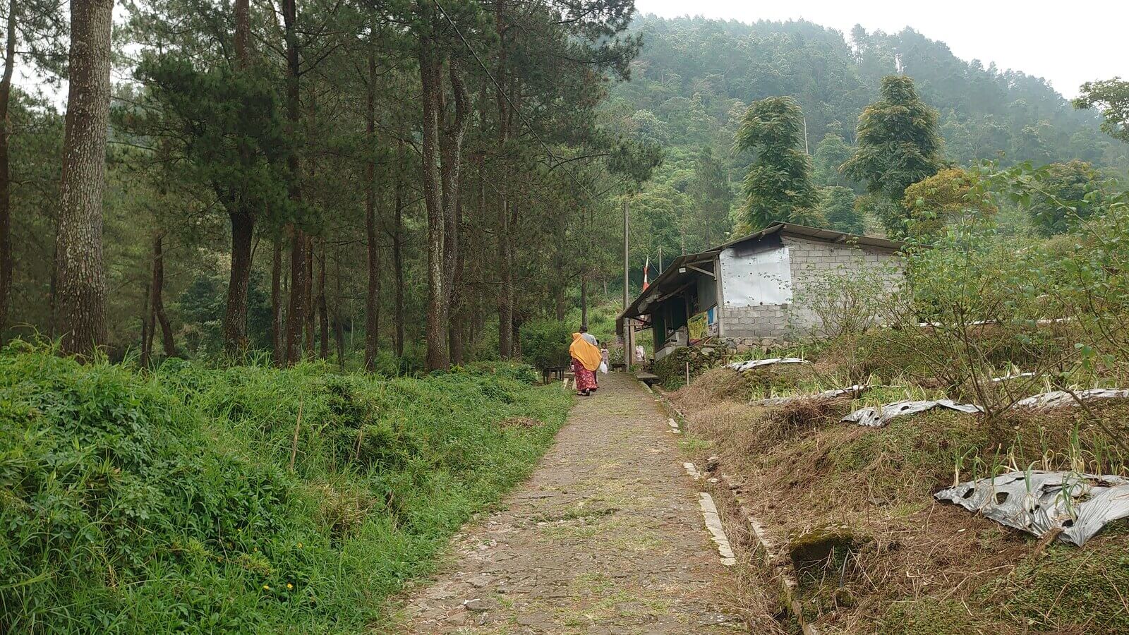 Path to Gedong Songo Temple