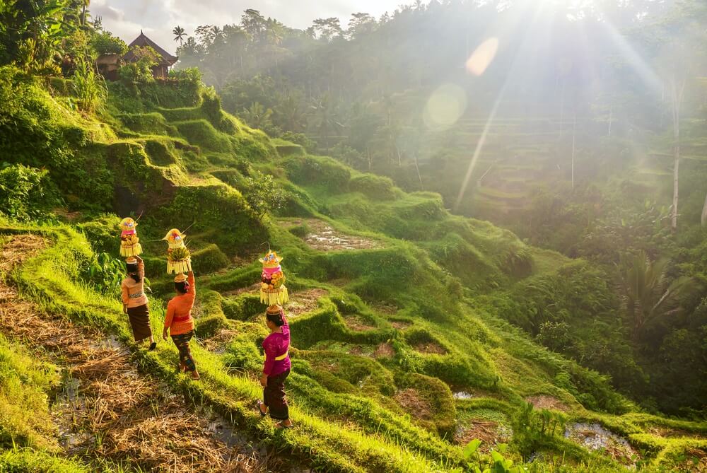 Traditional activity in Bali