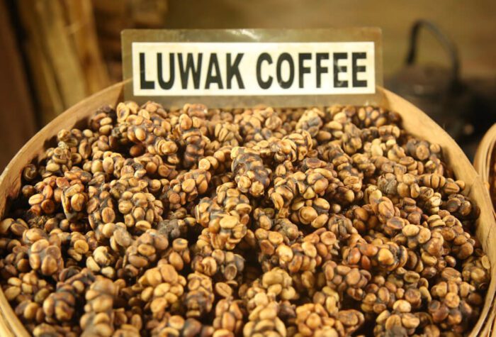 Kopi Luwak