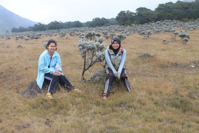 Mount Gede