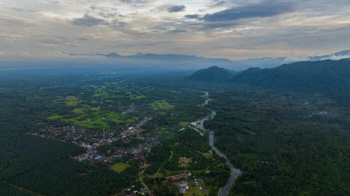 Bukit Lawang
