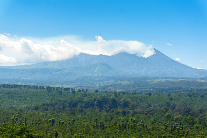Kawah Ijen closure