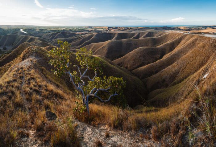 Wairinding hills in Sumba