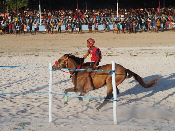 horse races in sumba