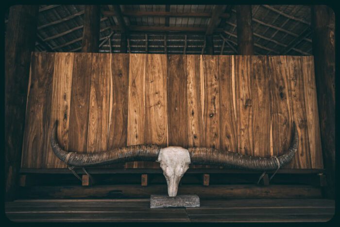 Animal sacrifice in sumba