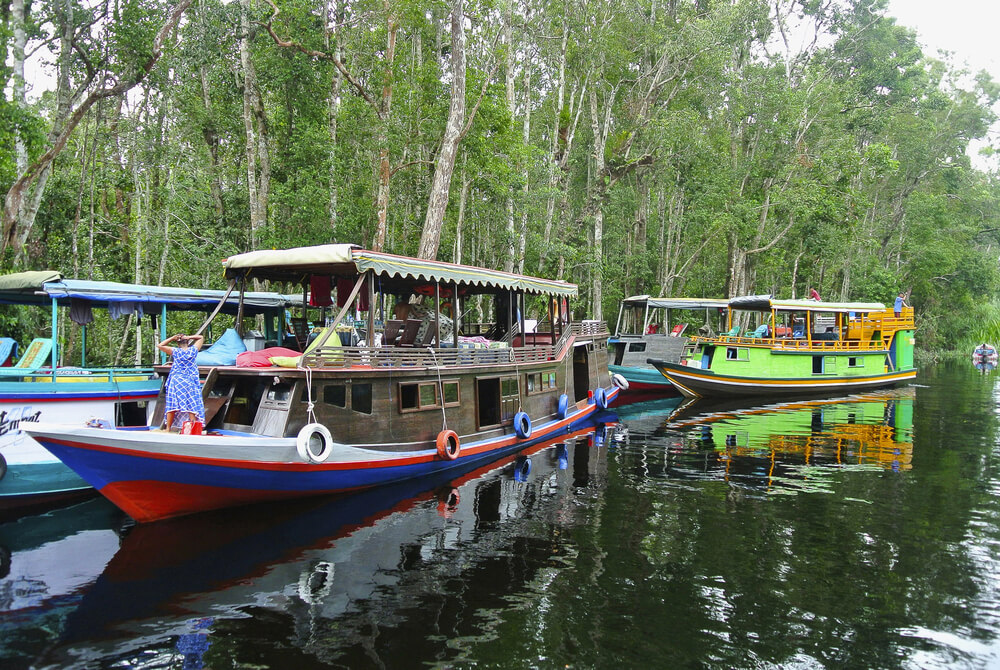 Traditional Klotok boat in Tanjung Puting National Park