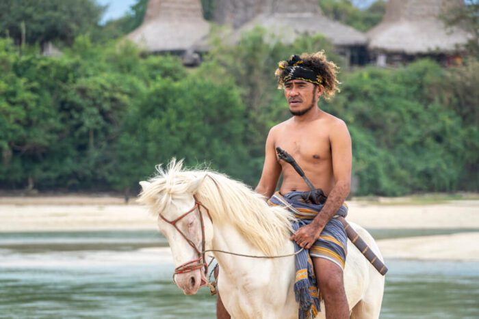horses in sumba