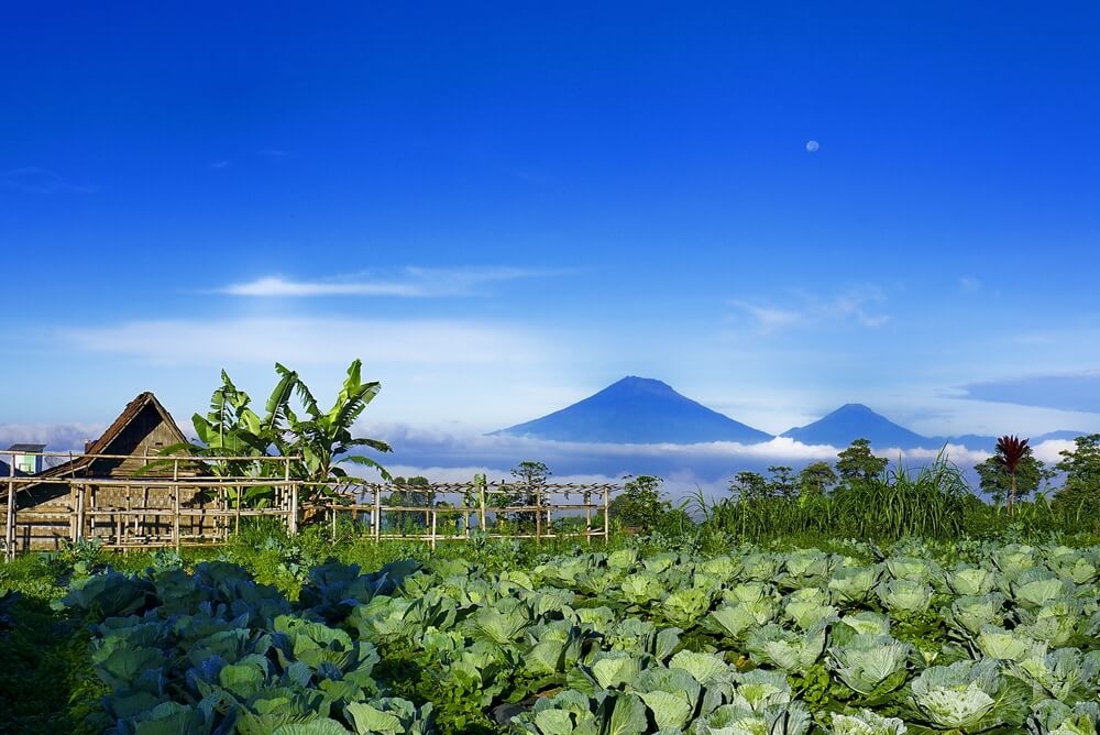 Kopeng, Central Java