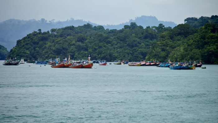 Boat in Clungup Mangrove Conservation