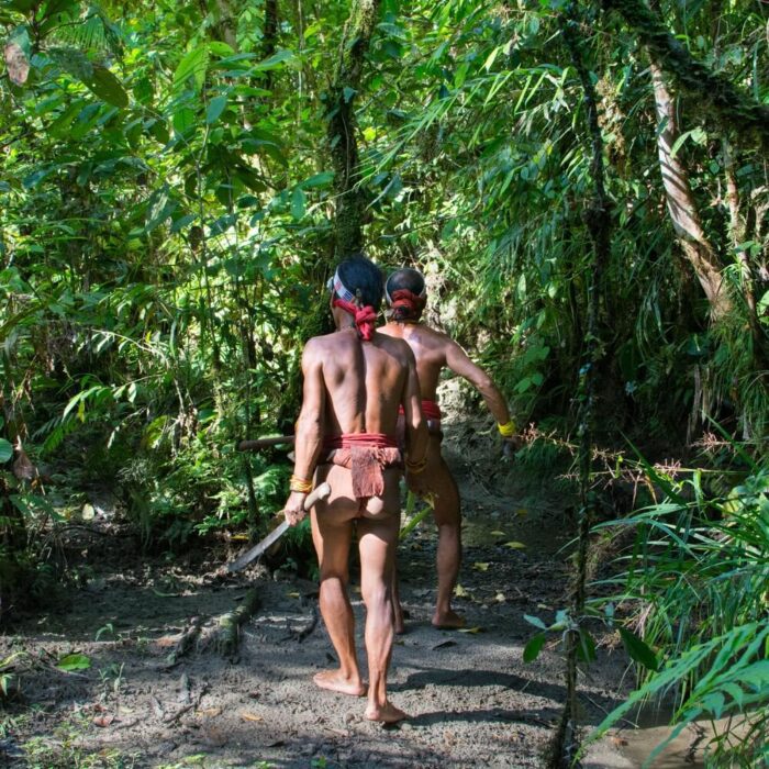 mentawai tribe