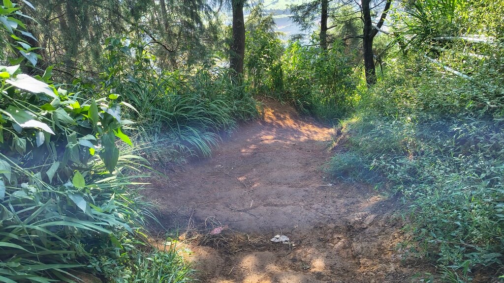 The trail to Mount Bismo