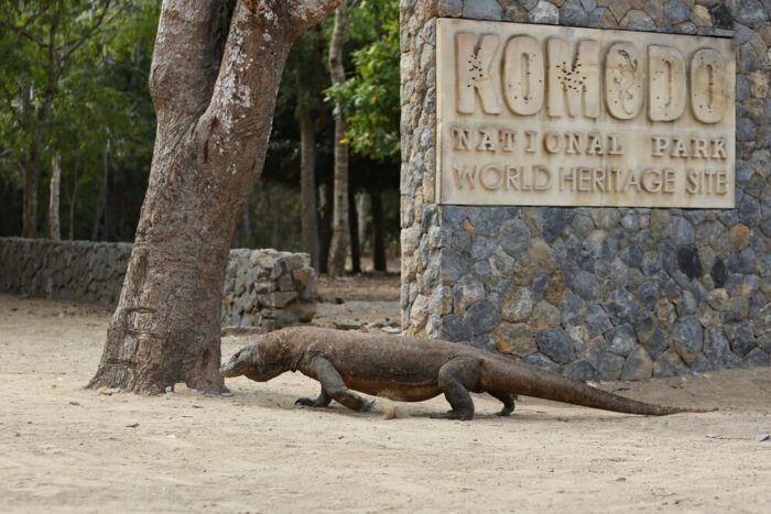 Komodo National Park