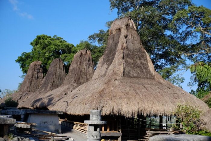Tarung traditional village in Sumba