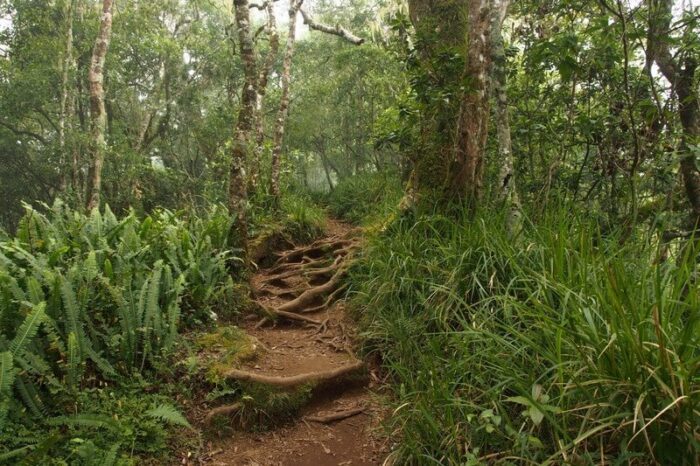 Rinjani in lombok
