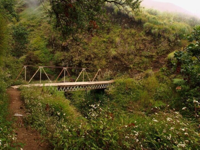 trek to Mount Rinjani