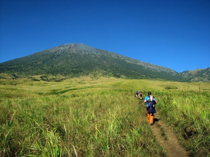 Savana Mount Rinjani