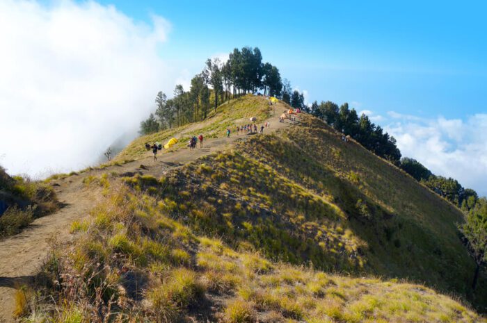 Sembalun Lawang in rinjani