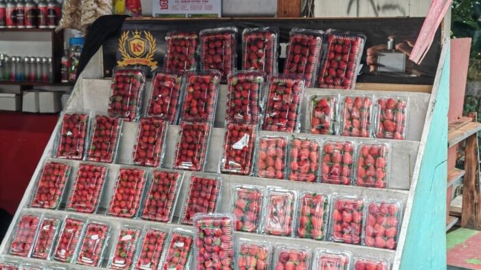 fresh strawberries in bandung