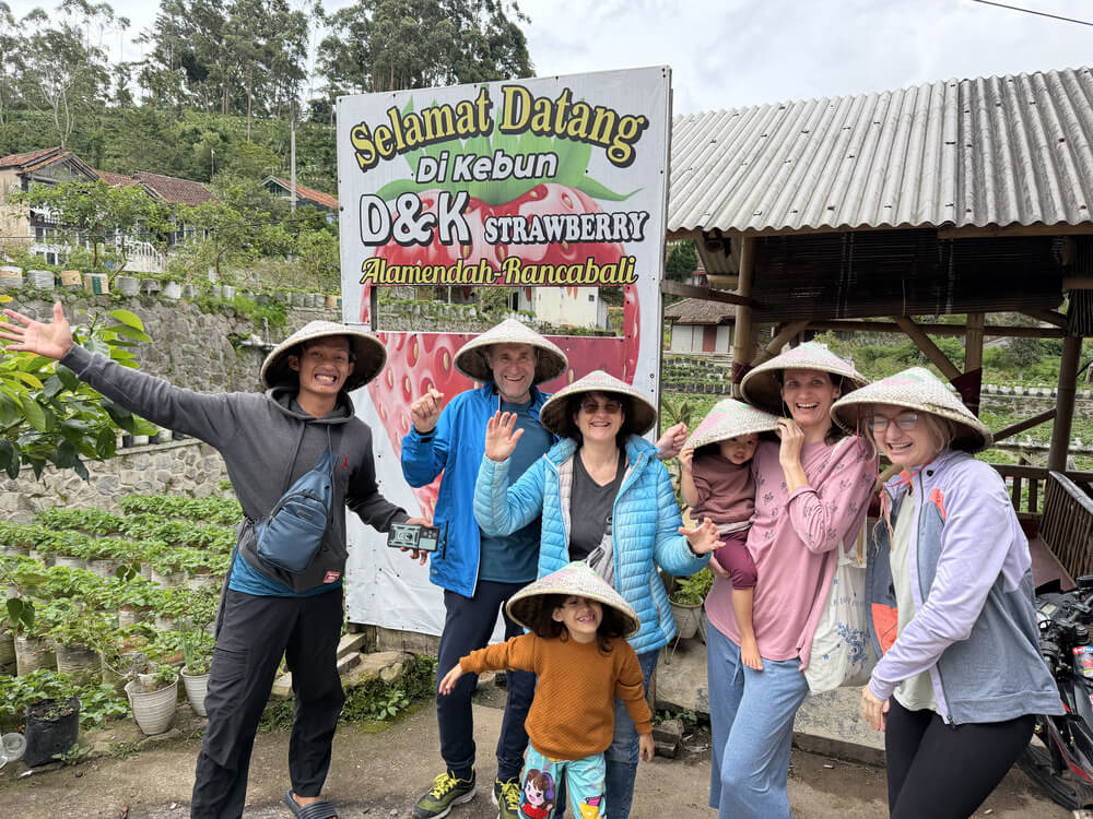 strawberry picking bandung