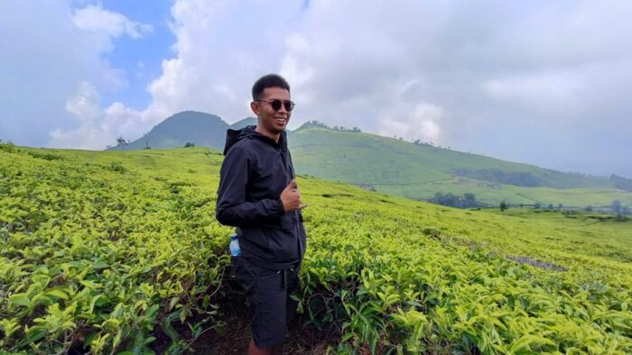 java tea plantations