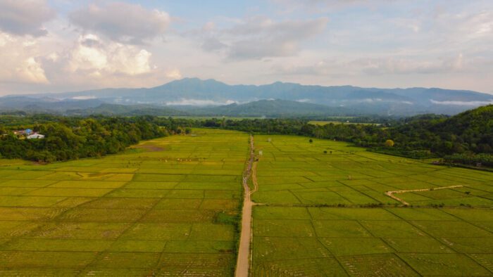 mount mutis in timor