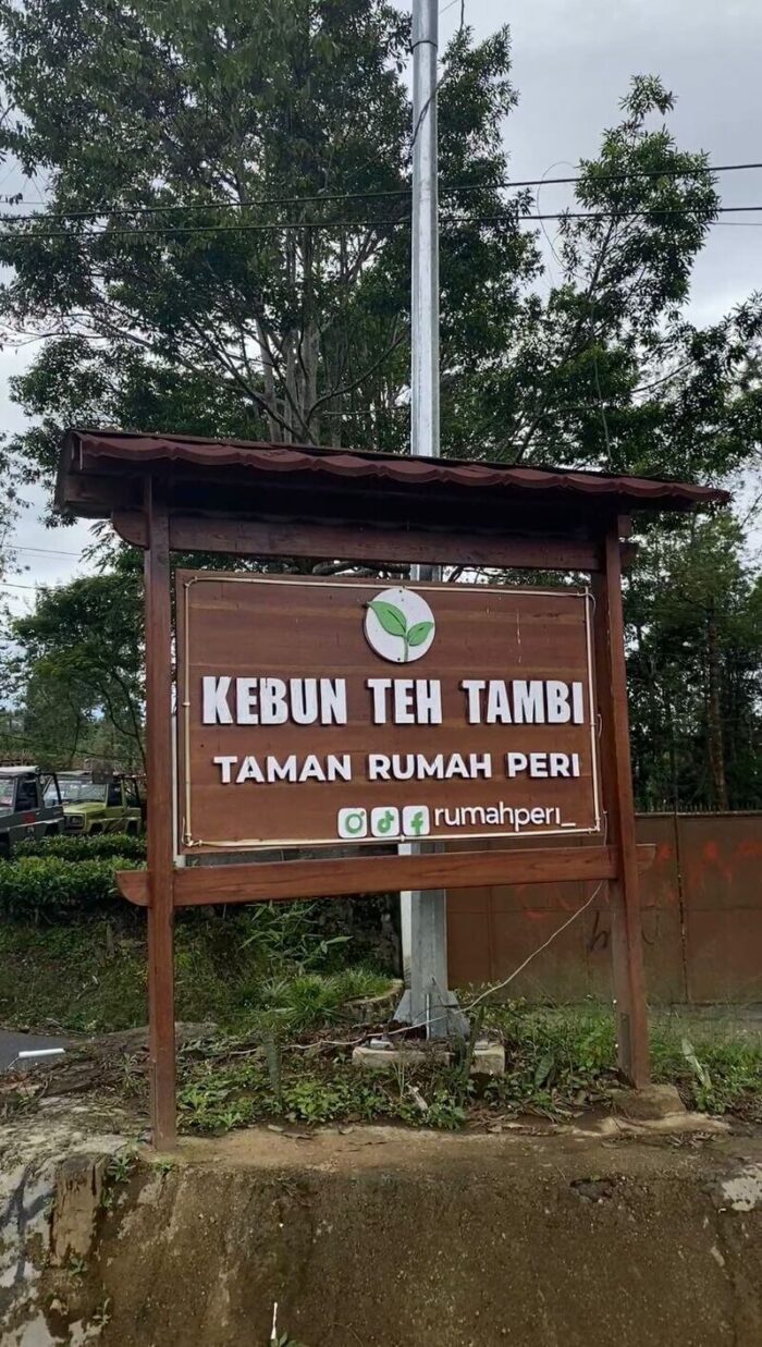 kebun teh tambi