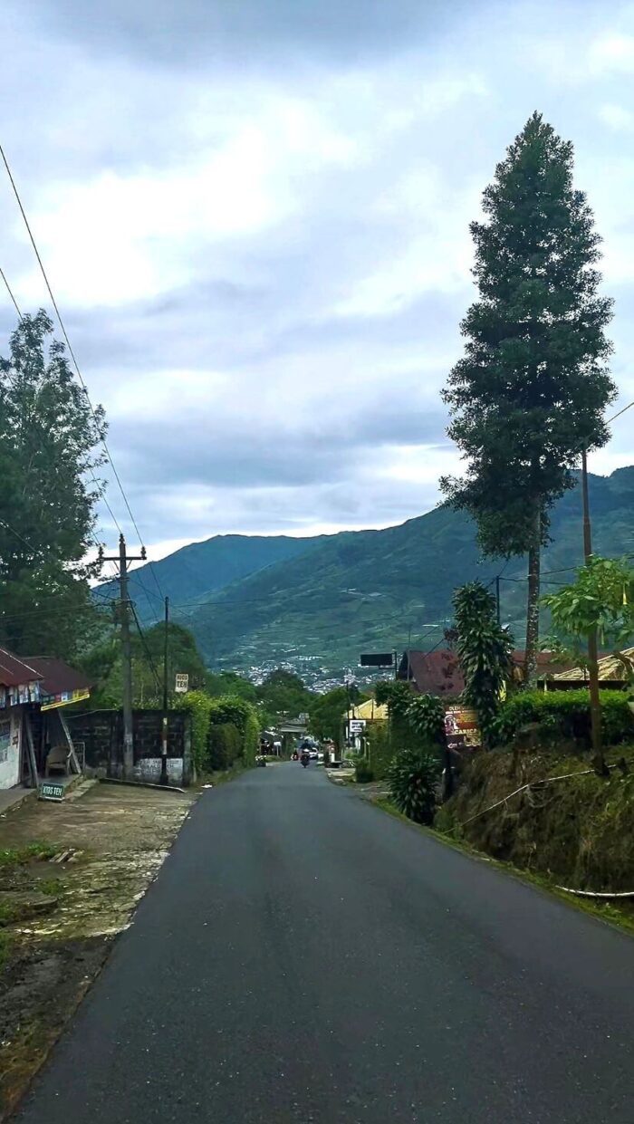 road to kebun teh tambi