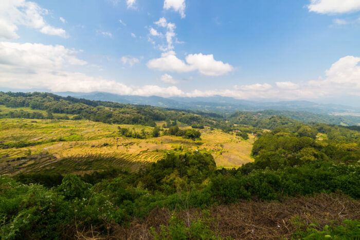 Batutumonga Tana Toraja