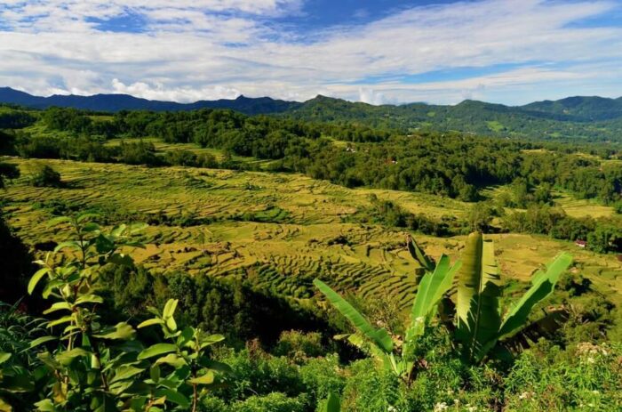 Sulawesi