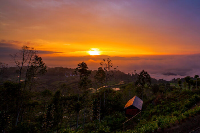 Tana Toraja