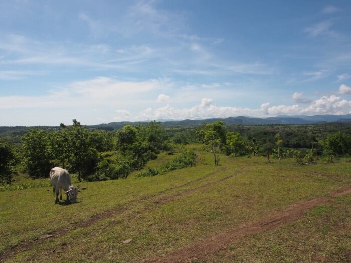 Dry-season landscape view in South Sulawesi