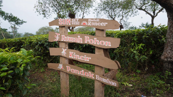Wonosari Tea Plantation
