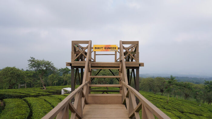 bukit kuneer in wonosari tea plantation