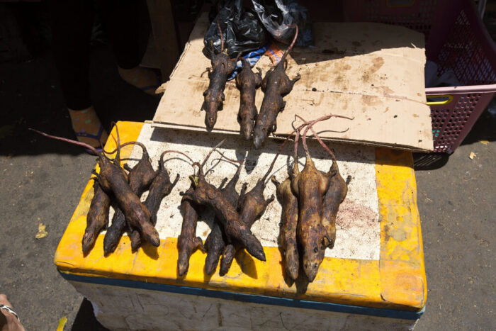 Tomohon’s traditional market