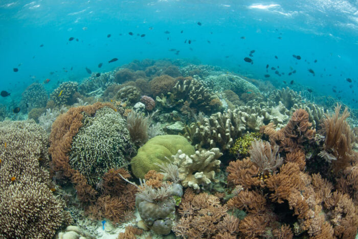 Bunaken National Park