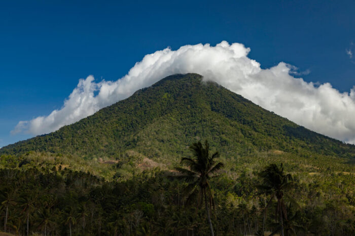 Tangkoko Nature Reserve
