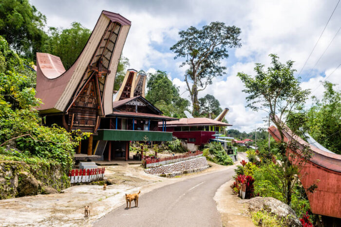 rantepao is the gateway to Tana Toraja